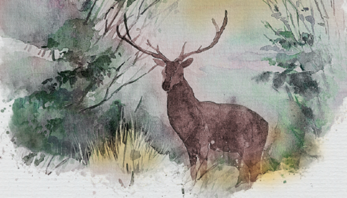 Wildmenü