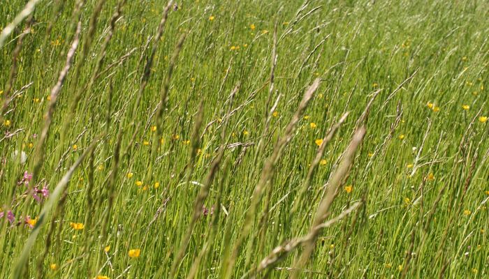 Betriebsurlaub Sommer